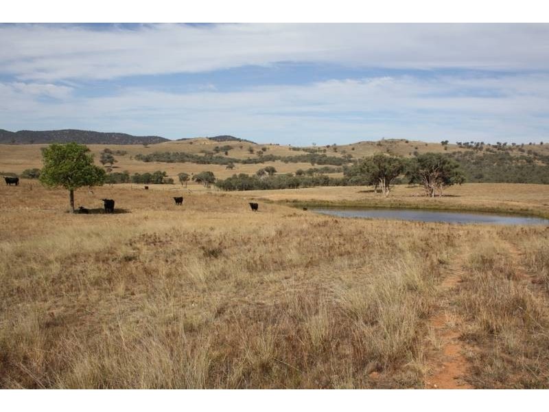 Mudgee NSW 2850
