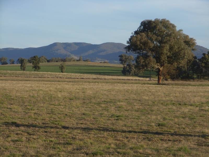 Mudgee NSW 2850