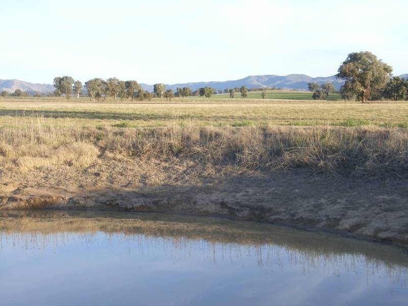Mudgee NSW 2850