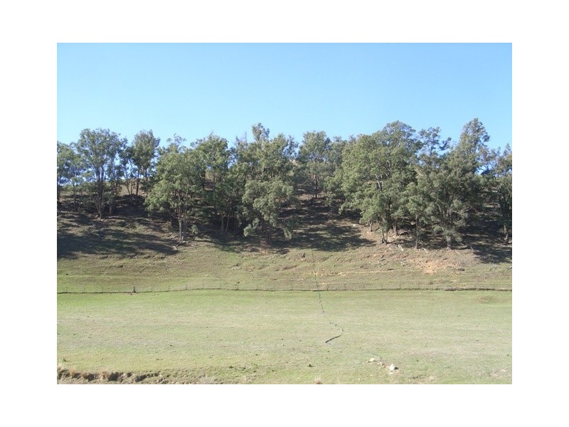 Mudgee NSW 2850