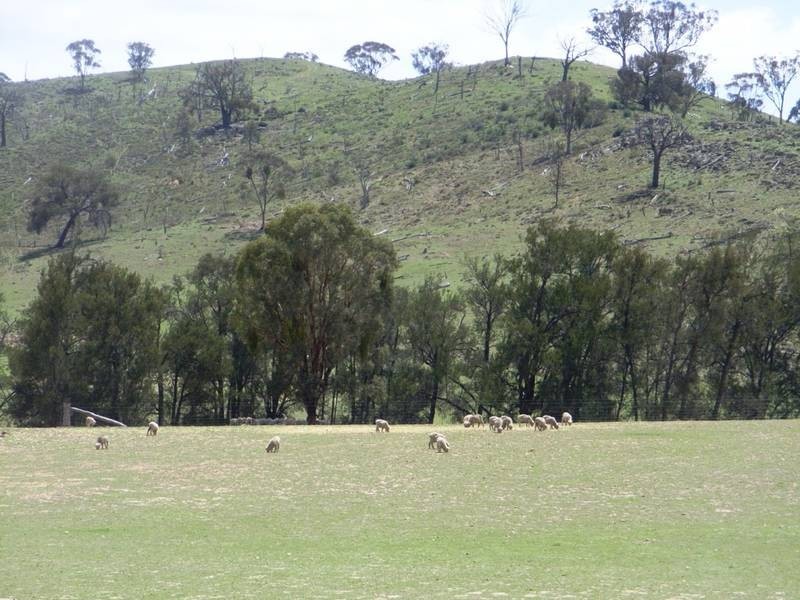 Mudgee NSW 2850