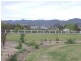 Mudgee NSW 2850
