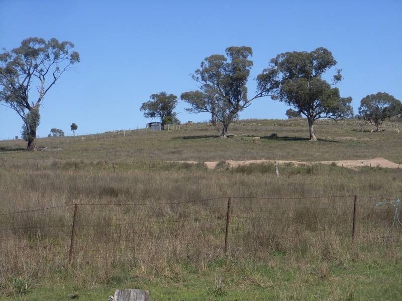 Mudgee NSW 2850