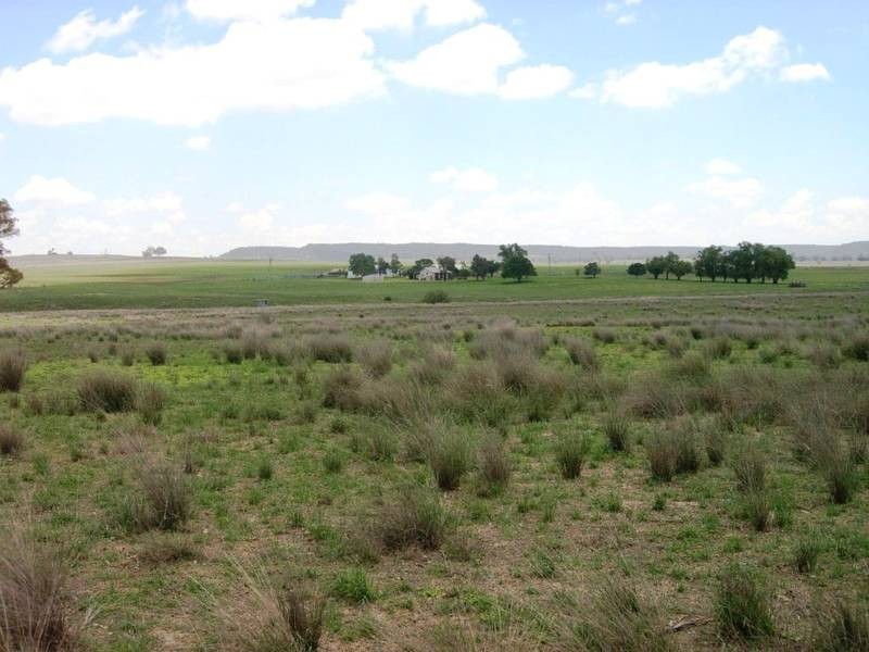 Mudgee NSW 2850