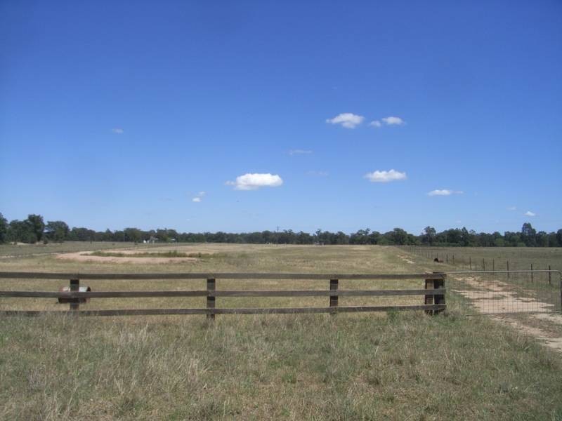 Gulgong NSW 2852