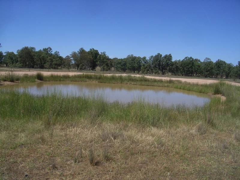 Gulgong NSW 2852