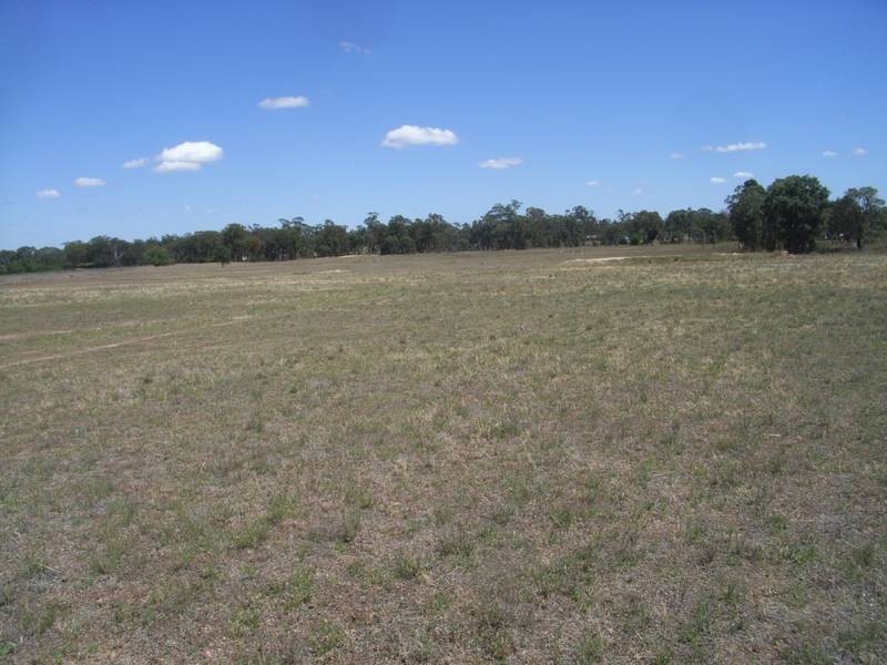 Gulgong NSW 2852