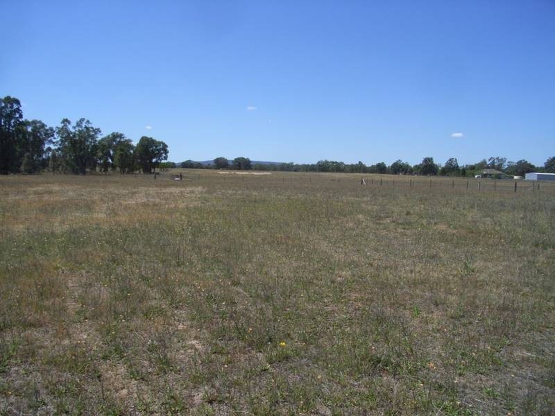 Gulgong NSW 2852