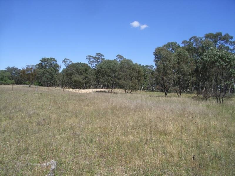 Gulgong NSW 2852