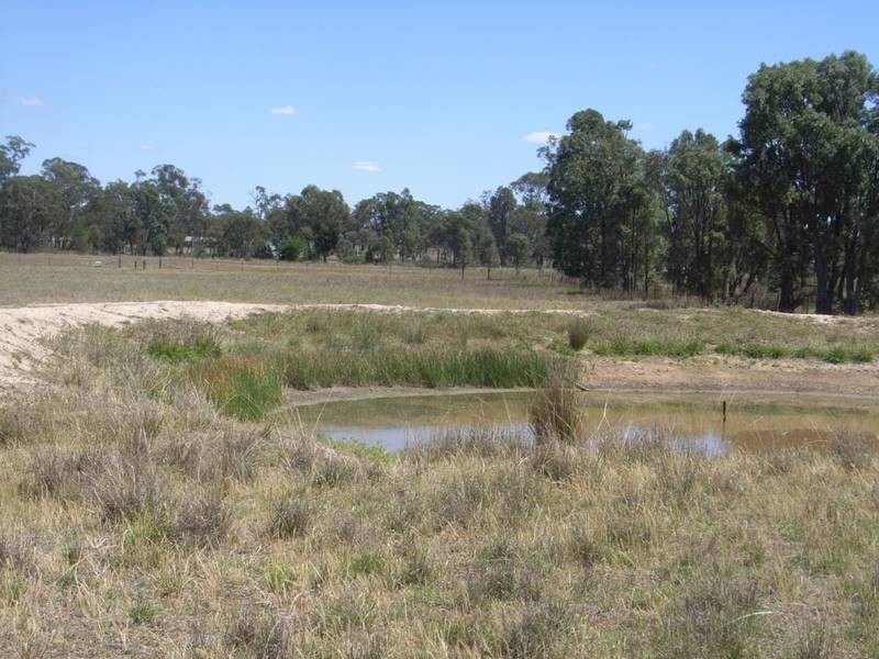 Gulgong NSW 2852