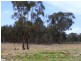 Mudgee NSW 2850