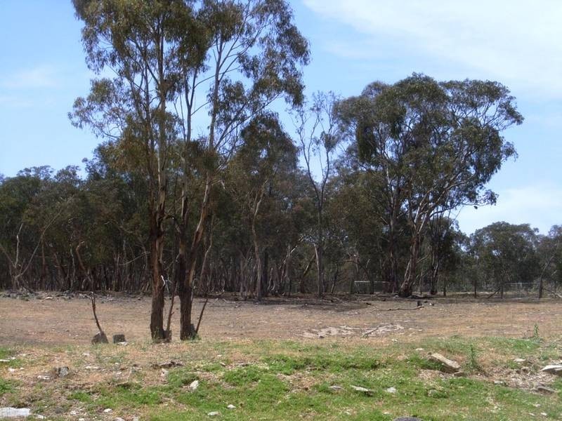Mudgee NSW 2850