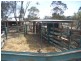 Mudgee NSW 2850