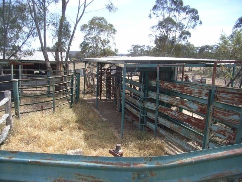 Mudgee NSW 2850