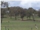 Mudgee NSW 2850