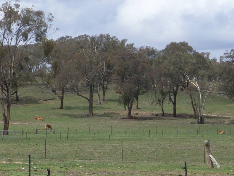 Mudgee NSW 2850