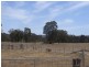 Mudgee NSW 2850