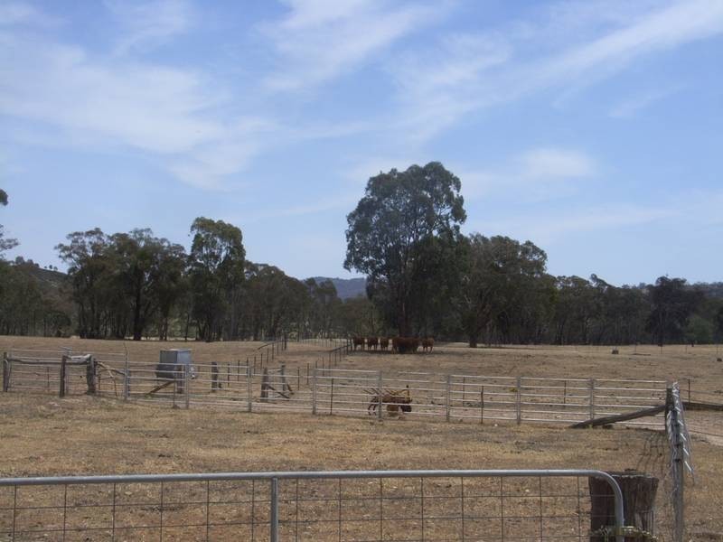 Mudgee NSW 2850