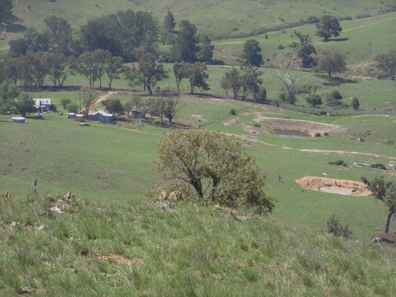 Mudgee NSW 2850