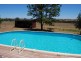 Mudgee NSW 2850