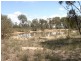 Mudgee NSW 2850