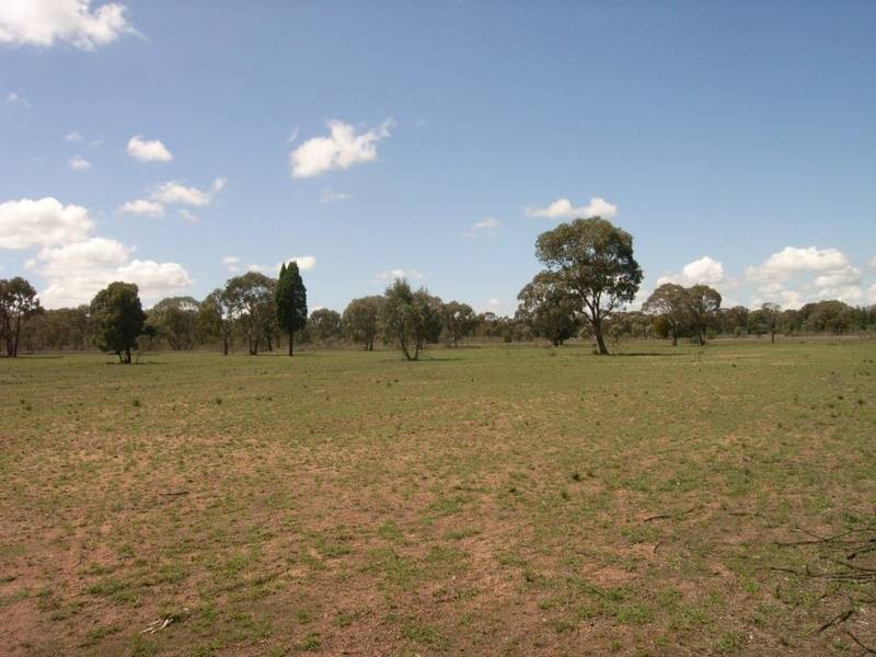 Mudgee NSW 2850