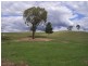 Mudgee NSW 2850