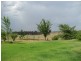 Gulgong NSW 2852