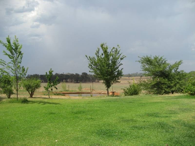 Gulgong NSW 2852