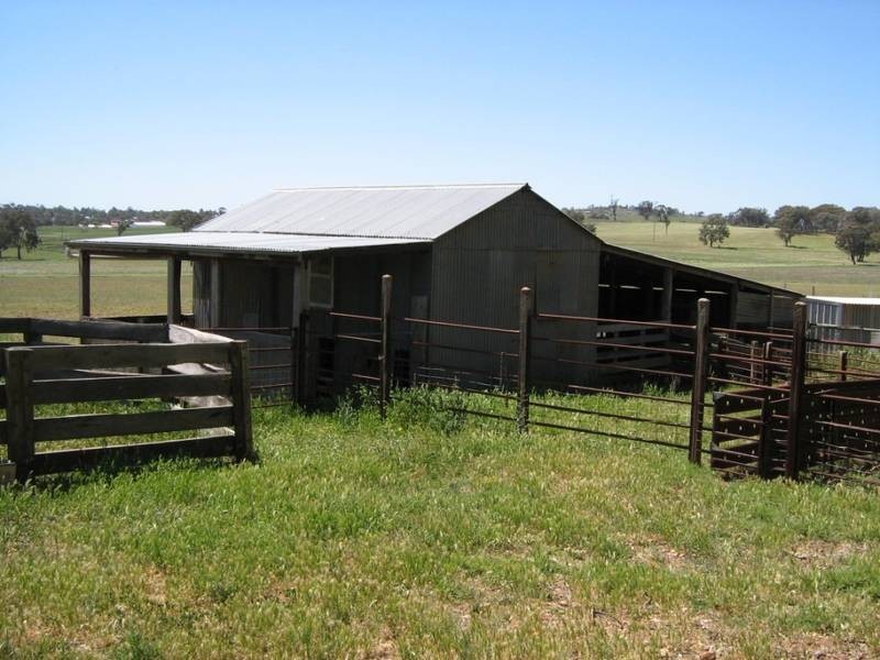 Gulgong NSW 2852