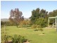 Mudgee NSW 2850