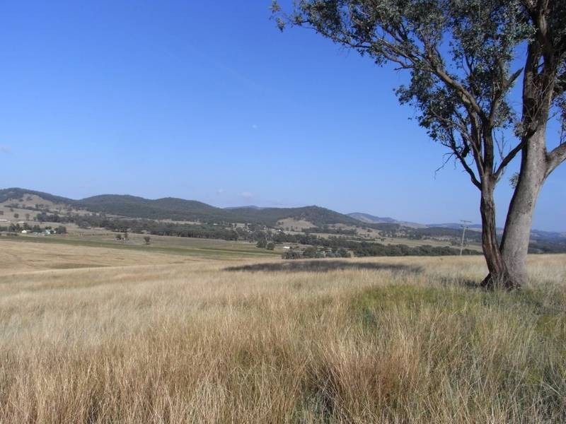 Mudgee NSW 2850