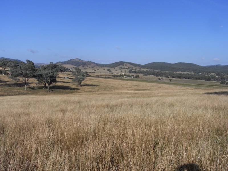 Mudgee NSW 2850