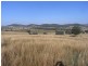 Mudgee NSW 2850