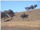 Mudgee NSW 2850