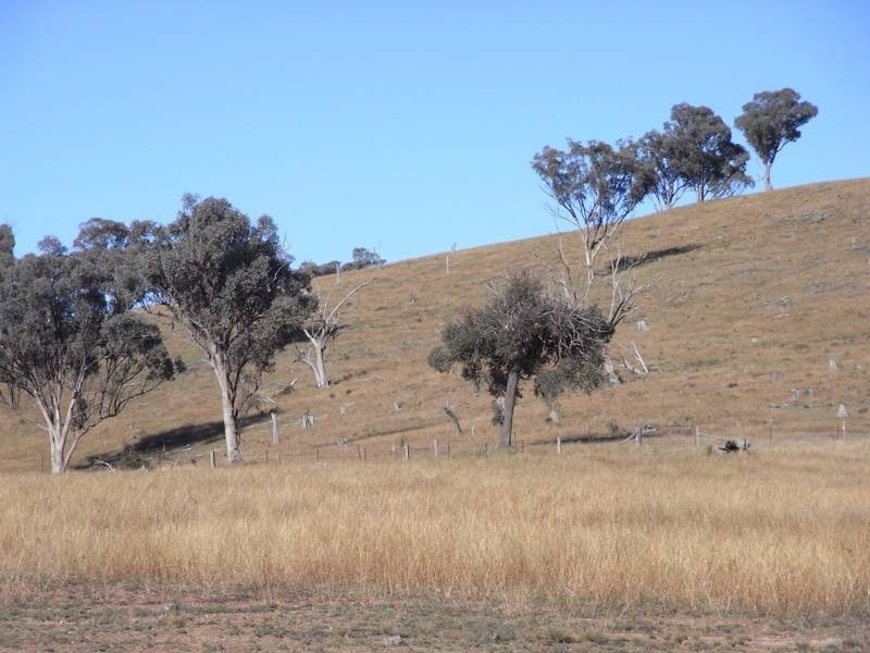Mudgee NSW 2850