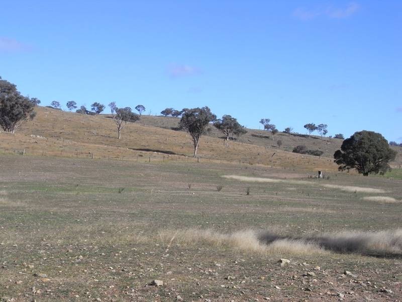 Mudgee NSW 2850