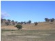 Mudgee NSW 2850