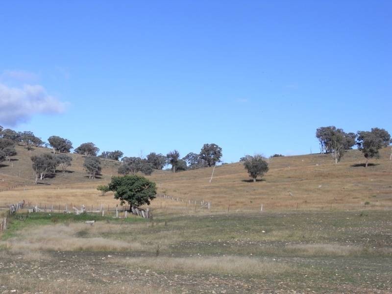 Mudgee NSW 2850