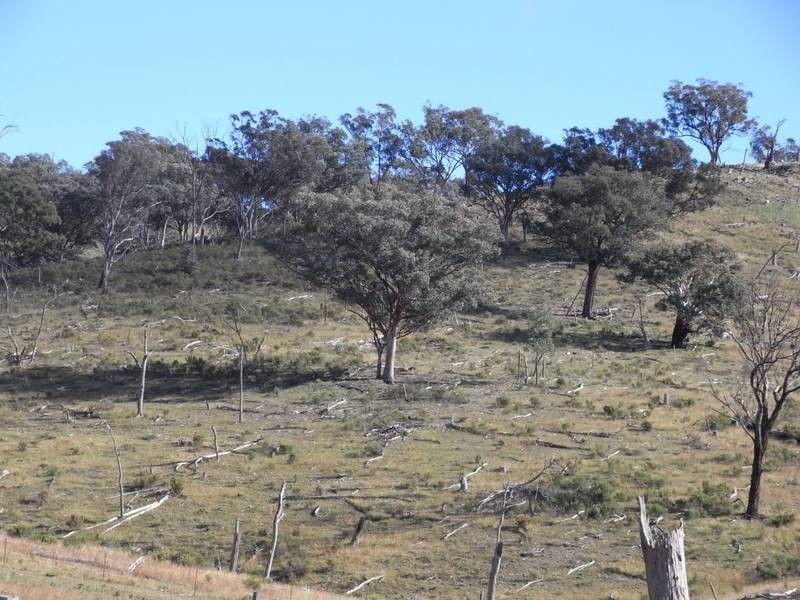 Mudgee NSW 2850