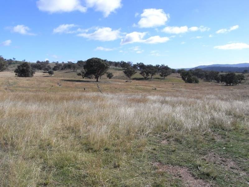 Mudgee NSW 2850