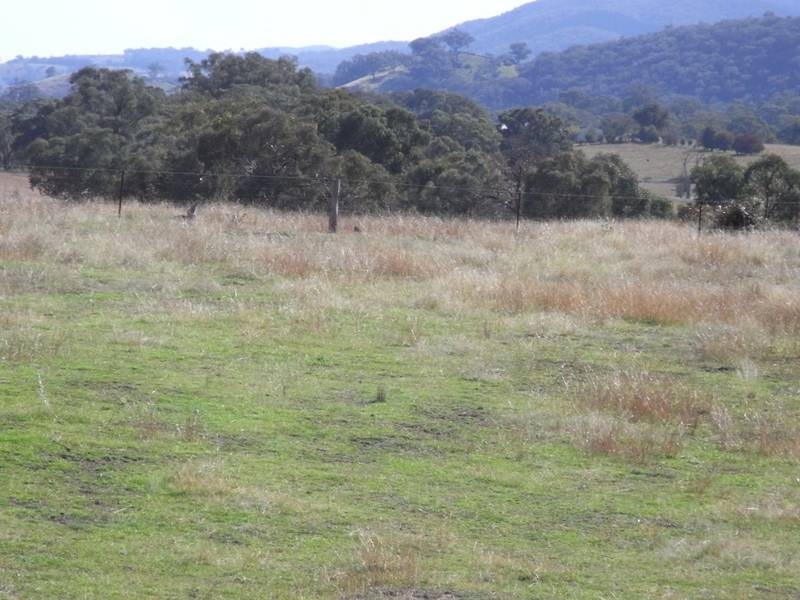 Mudgee NSW 2850