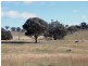 Mudgee NSW 2850