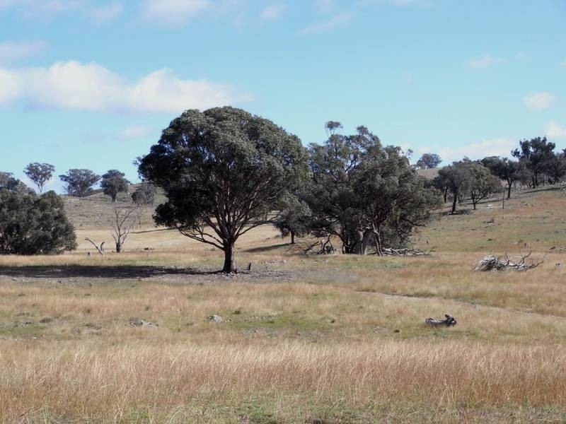 Mudgee NSW 2850