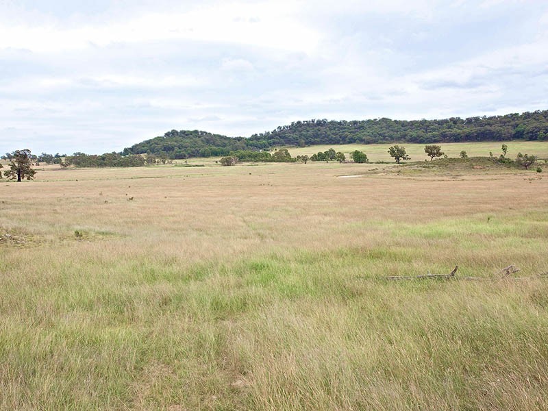 Gulgong NSW 2852