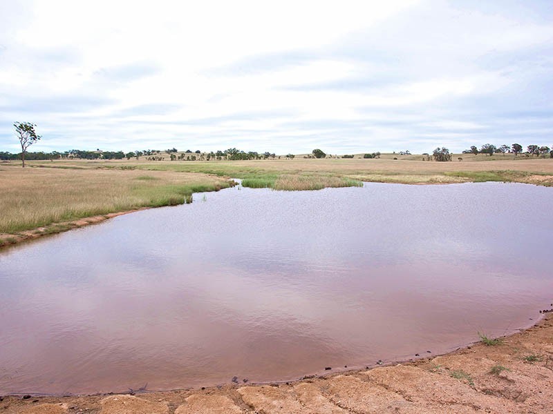 Gulgong NSW 2852