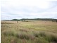 Gulgong NSW 2852