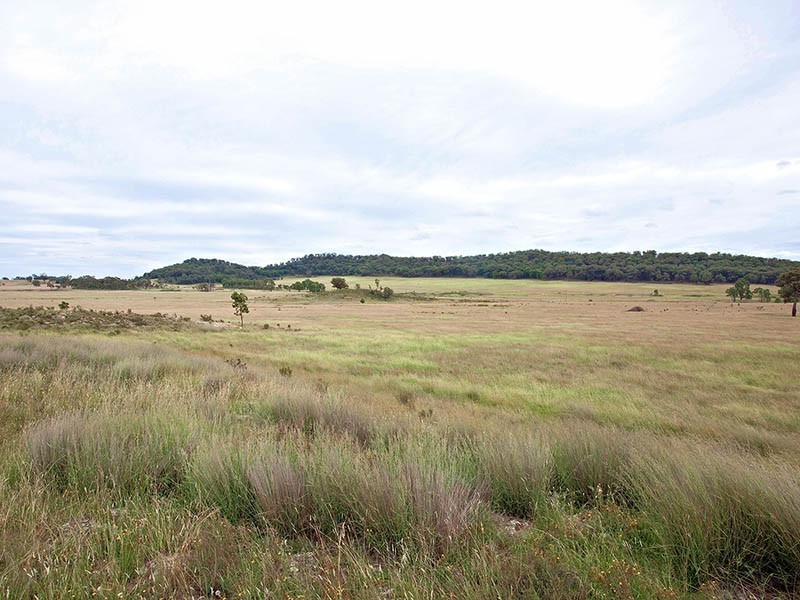 Gulgong NSW 2852