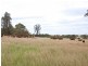 Gulgong NSW 2852