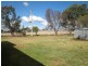 Mudgee NSW 2850